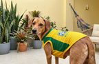Camisa Pet Brasil Clássica - imagem 2 - Meu Pet Torcedor