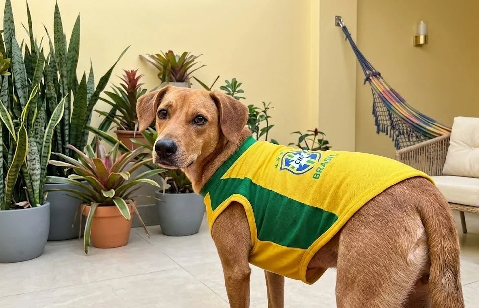 Camisa Pet Brasil Clássica - imagem 2 - Meu Pet Torcedor